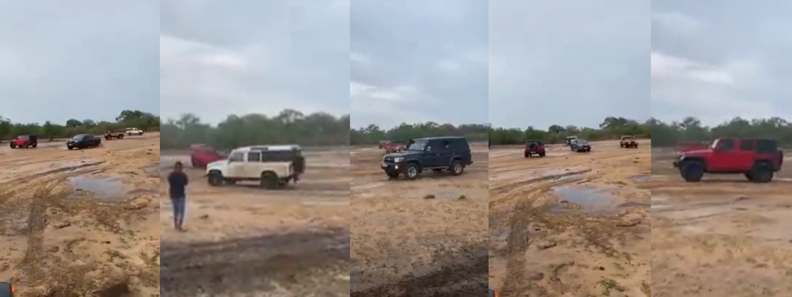 Yala Chaos: Guides & Park Rangers interdicted after video goes viral of SUV fleet joy riding inside Yala